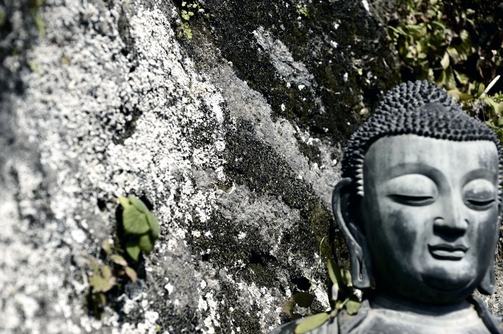 穏やかな良いお顔です