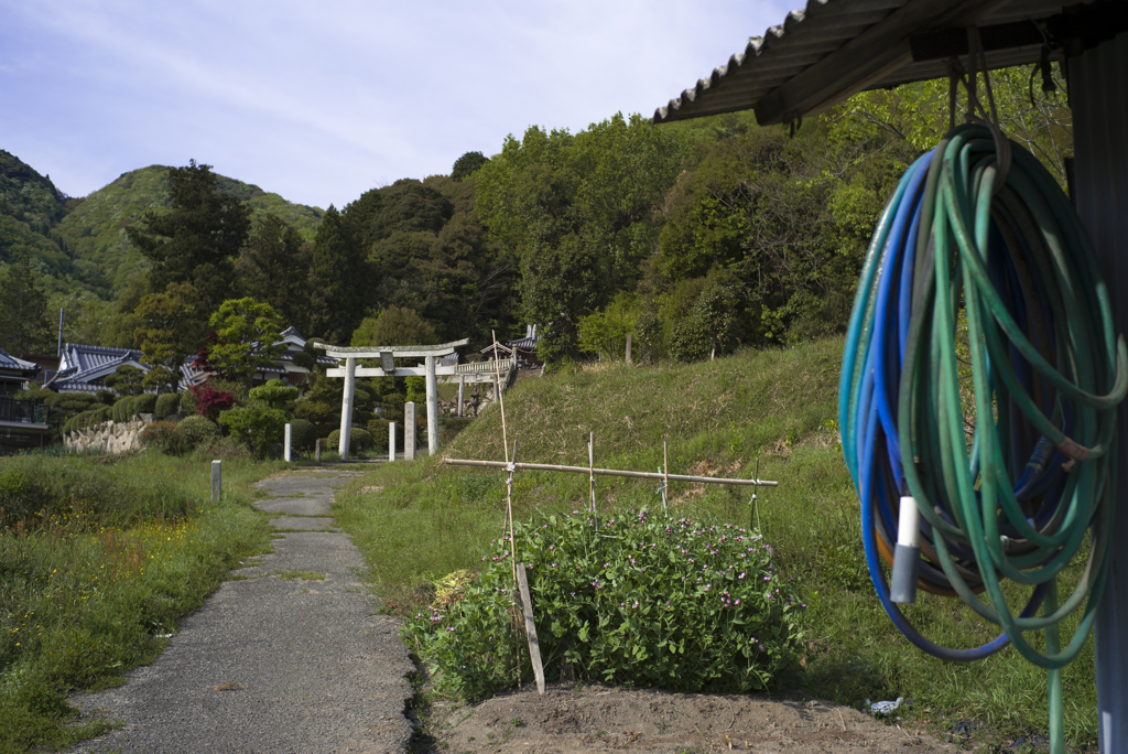 八幡神社へ向かう