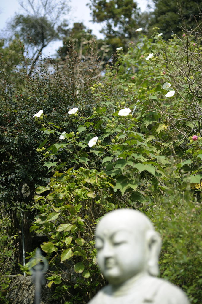 円覚寺7