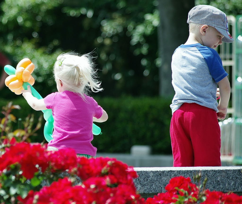 Ｒｏsｅ　ｆｅｓｔａ