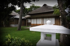 今日の伊藤家６