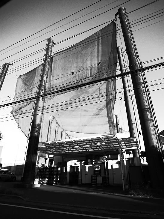 Ｇｏｌｆ Ｎｅｔ