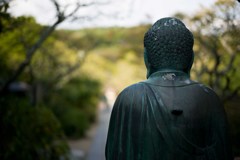 鎌倉散策、浄智寺、東経寺、八幡宮Ⅲ