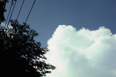 晩夏の空