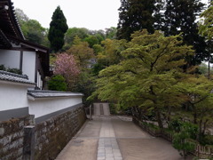 日本人で良かった