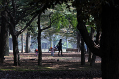 代々木公園