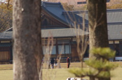 のぞきみ？