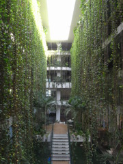 沖縄ツアー９