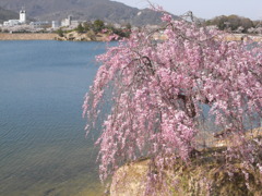 R0013391
