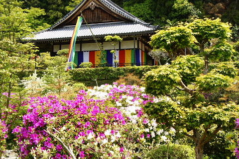 船宿寺02