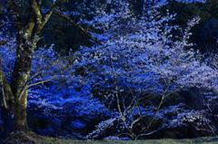 IMG_1074s