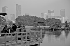 都会のオアシス
