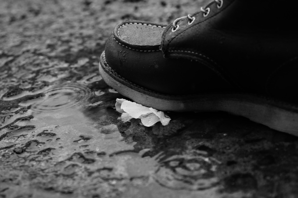 「a puddle」