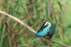DSC04646