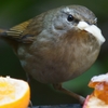 ウグッ…