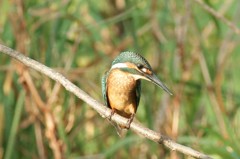 DSC04625