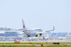 福岡空港　2016年