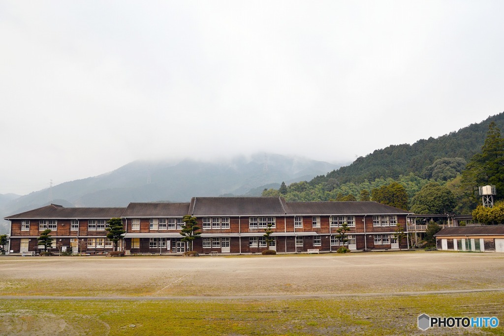 秋月　桜　2016年