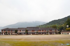 秋月　桜　2016年