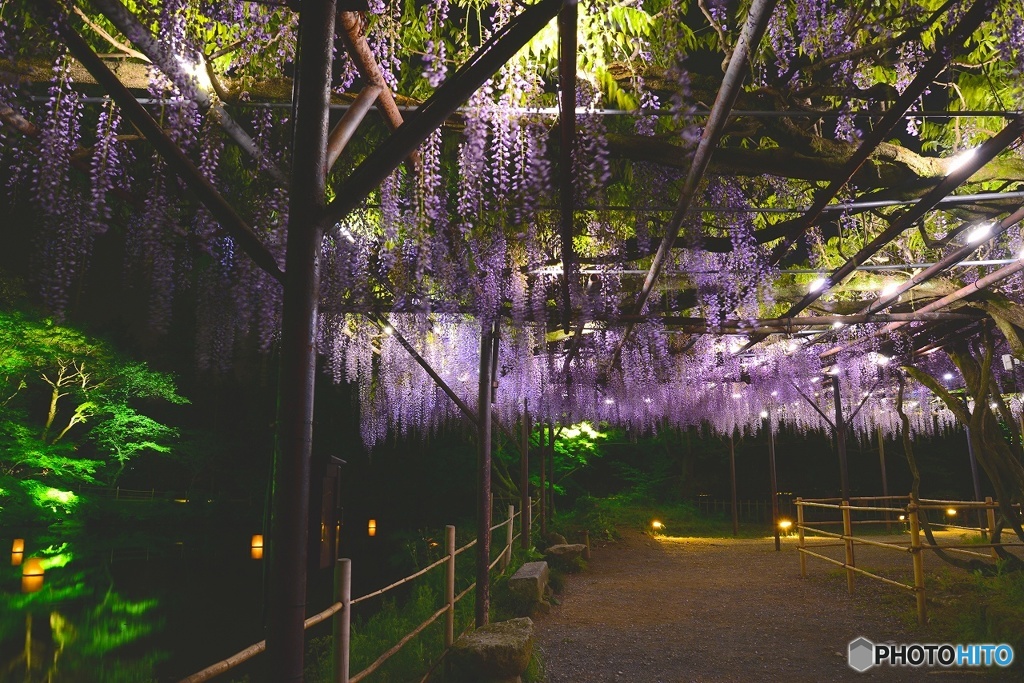 御船山楽園　2016年4月