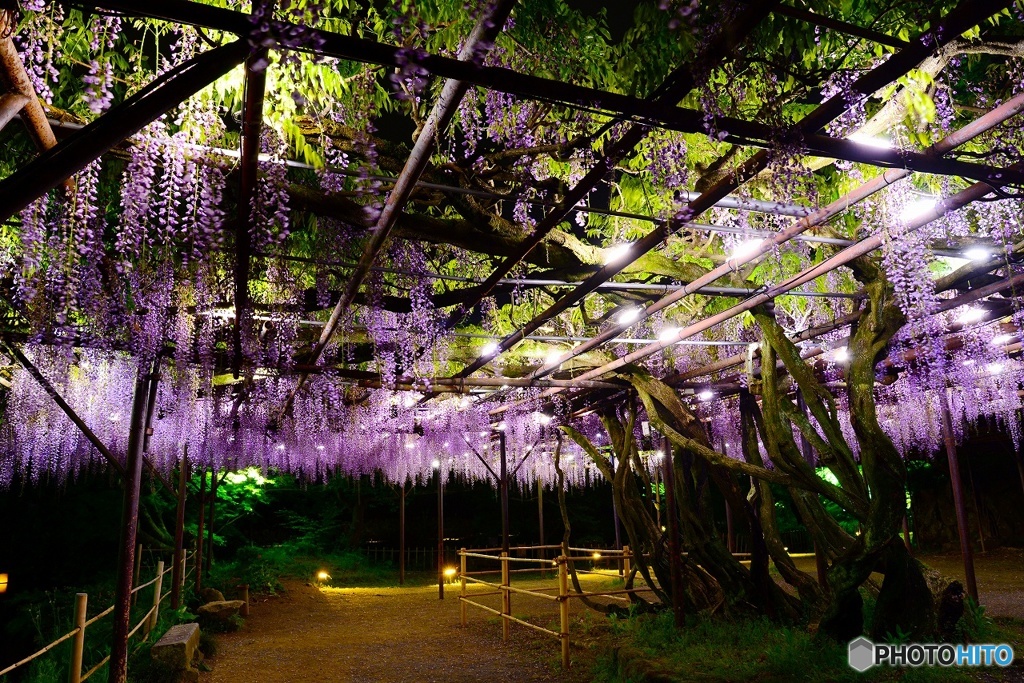 御船山楽園　2016年4月