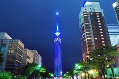 福岡タワー01