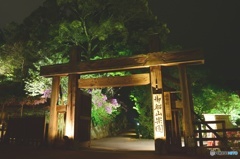 御船山楽園　2016年4月