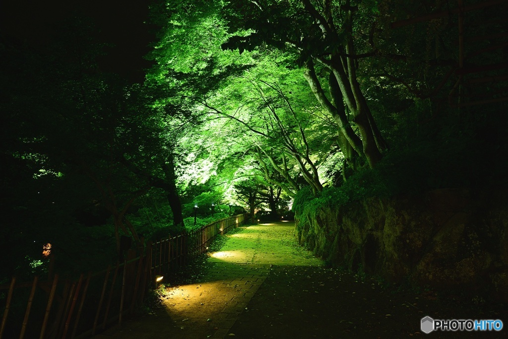 御船山楽園　2016年4月