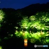 御船山楽園　2016年4月
