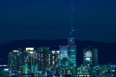 百道浜　夜景