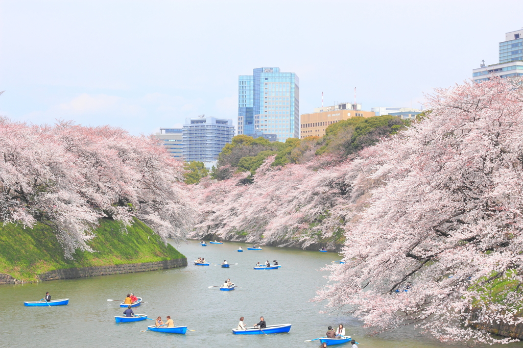 春に遊ぶ