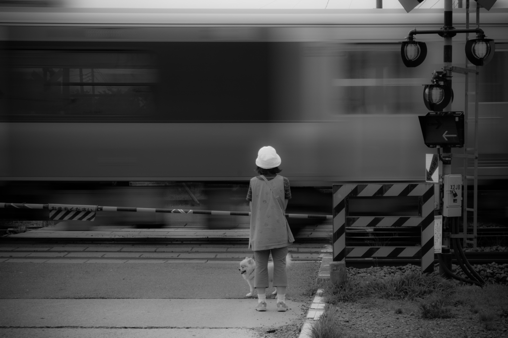 TIME TRAVELER