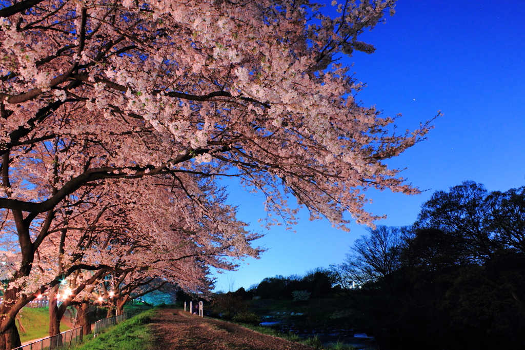 BLUE × PINK