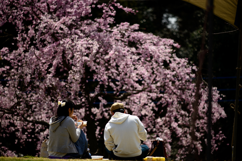 HANAMI