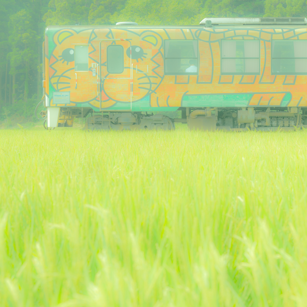 Smile Train