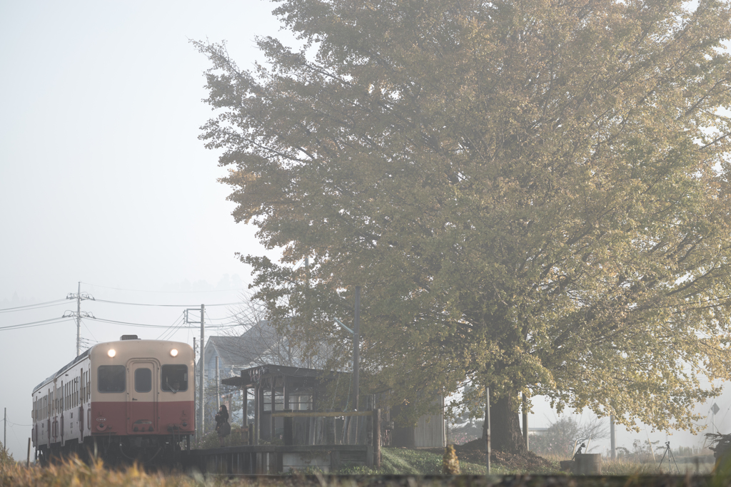 Misty morning