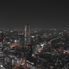 光の三原色“Red”