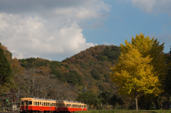 小湊鉄道の秋