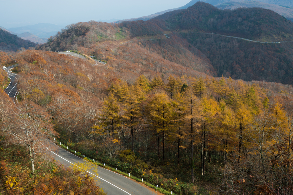 道のある風景