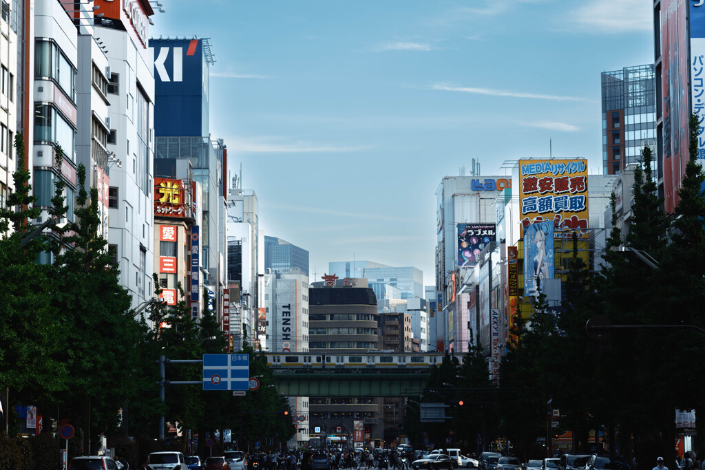 Tokyo Railway Snaps #05