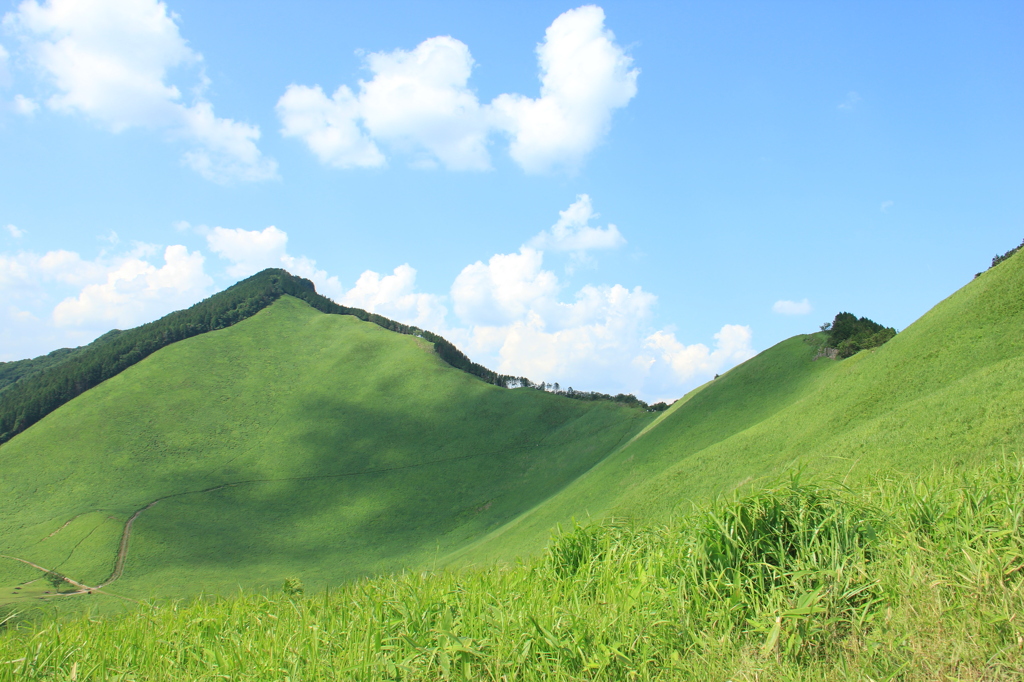 曽爾高原