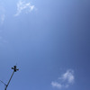 青空