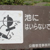 残酷描写