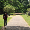 アンコール道