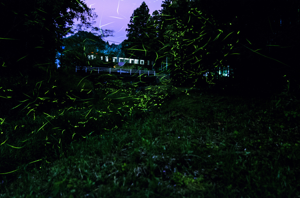 夢蛍鉄道