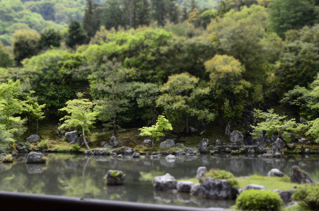 Miniature garden
