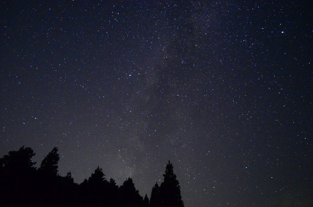 夜の秋