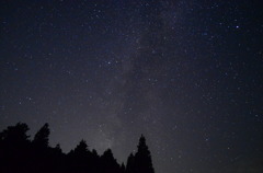 夜の秋