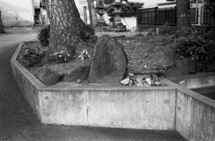 浅間神社 西側の石碑