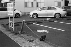 渡辺皮膚科専用駐車場警備隊